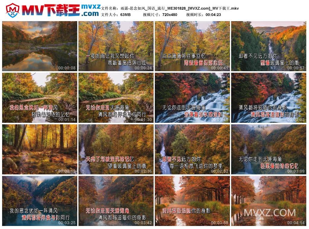 雨露-思念如风_国语_流行_ME301828